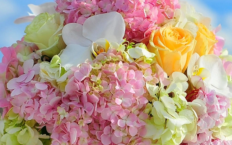 Spring Flowers from The Flower Lounge